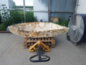 While you hid from the coronavirus, she built a canoe out of mushrooms