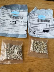 China Seeds Pose Threat to NJ as State Continues Beating "China Virus"