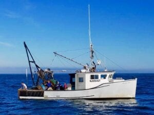 NJ Fishing Boat Captain Catches Great White Shark in His Net off Barnegat Inet