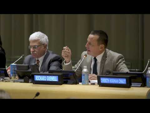 Ambassadors Craft and Grenell at the United Nations