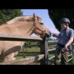 NJ.com Report: Unbridled enthusiasm touches kids with special needs