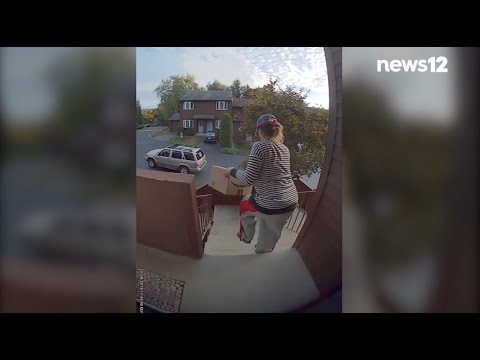 Porch Pirates (Grinches) of New York - News 12 Porch Pirates (Grinches) of New York – News 12