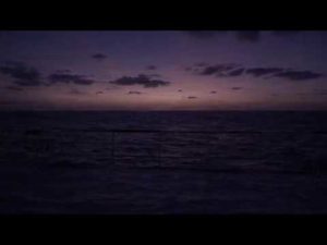 Ap: rescuing migrants at sea