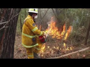Ap: volunteer firefighters ward off australia’s blazes