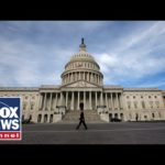 Fox News Report: Scalise reacts to the division on Capitol Hill over US airstrikes