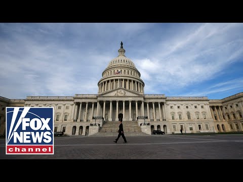 Fox News Report: Scalise reacts to the division on Capitol Hill over US airstrikes