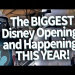 The BIGGEST Disney Openings and Happenings THIS YEAR!