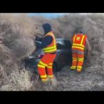 AP: Tumbleweeds trap cars, trucks in rural Washington