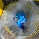 Attention Shoppers: Nobody Wants to Pick Up Your Coronavirus Diseased Infected Gloves in the Supermarket Parking Lot