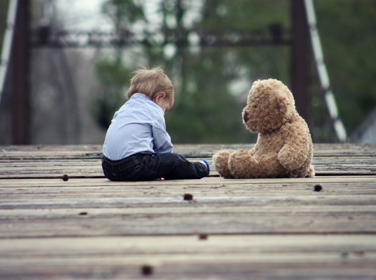 Bondage Teddy Bears Archives Shore News Network