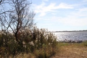 Berkeley township mayor: it's important to keep our parks open