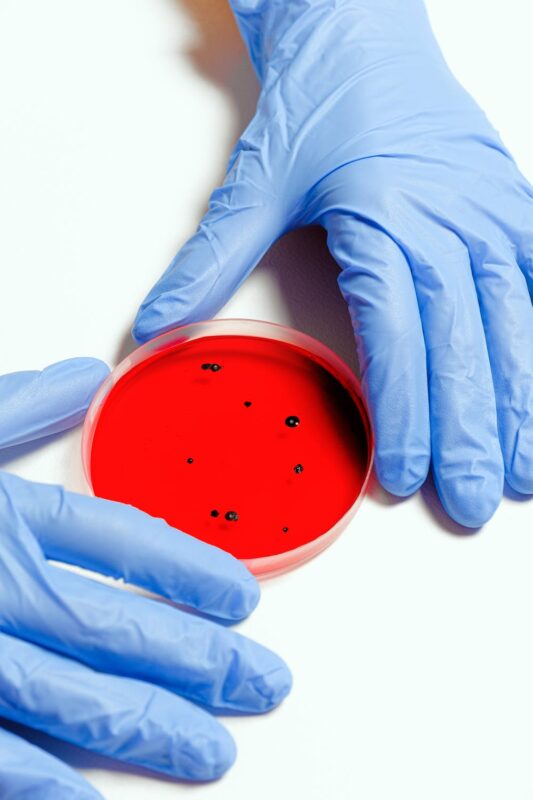 Red Bank Regional Goes to Virtual Schooling After Sibling Tests Positive for Coronavirus
