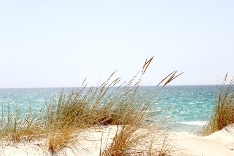 Report: North Jersey Residents Flocking to Shore Homes to Escape Coronavirus