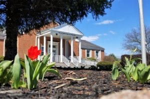 Spring begins to bloom in ocean county