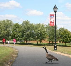 Mayors begin closing town parks in nj fearing state shutdown will bring out of towners