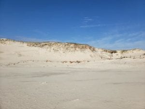Christmas keep closed island beach state park protected during storm