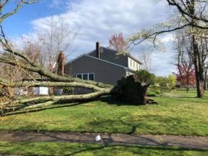 Toms river police say tornado was cause of storm damage on tuesday