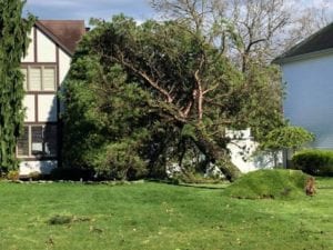 Toms river police say tornado was cause of storm damage on tuesday