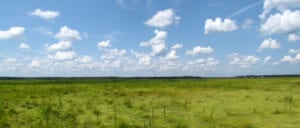 Ocean county's last bastion of the outdoors shutdown today