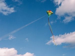 Man nearly drowned rescuing kite in ocean; charged for violating murphy's law