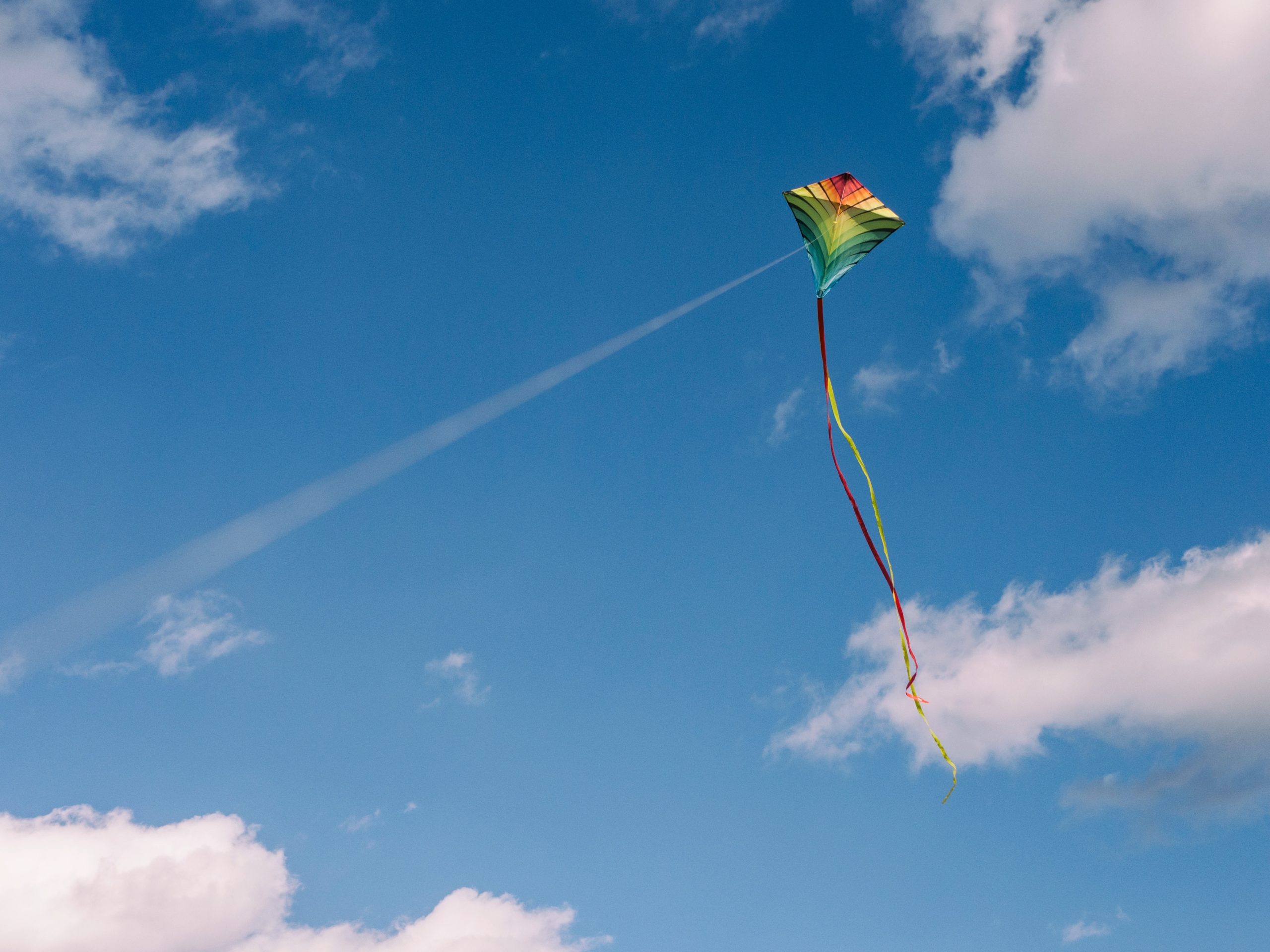 Man Nearly Drowned Rescuing Kite in Ocean; Charged for Violating Murphy's Law