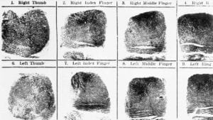 Firearms fingerprinting at a standstill as murphy administration continues playing 2a games
