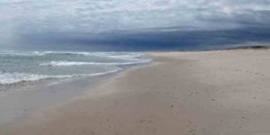 This is what island beach state park looked like the day phil murphy closed it
