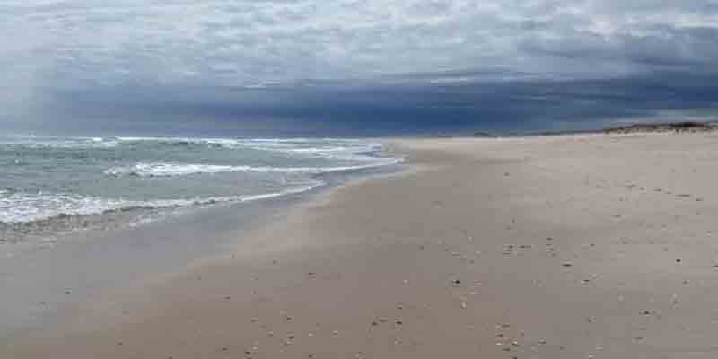 This is What Island Beach State Park Looked Like the Day Phil Murphy Closed It