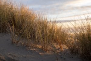 Two charged for walking, taking pictures of beach in seaside park