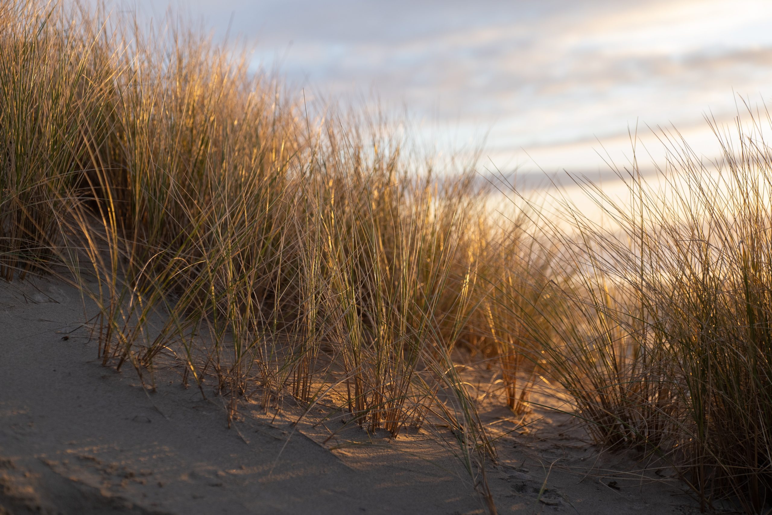 Two Charged for Walking, Taking Pictures of beach in Seaside Park
