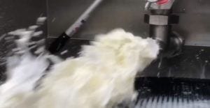 Farmers dumping milk as restaurant demand dries up