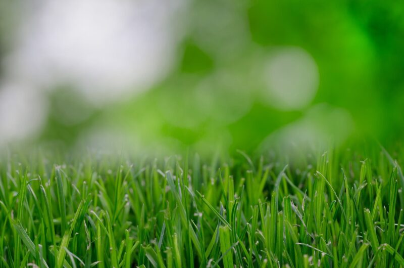 NJ Agriculture Secretary Announces Landscapers May Continue to Work Through Shelter in Place