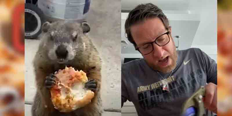 One Bite, Everyone Knows the Rules, Except this Awesome Pizza Eating Ground Hog