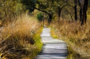 Murphy state park closure is "ridiculous overreach" say nj sportsmen's alliance