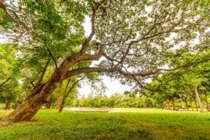 Governor murphy shuts down all state and county parks