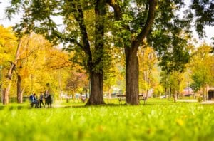 Mcguckin calls on murphy, haines to reopen parks, introduces bill to fine you $10,000 for using them
