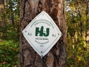 Nj fish & wildlife says follow the rules when visiting wildlife management areas this weekend