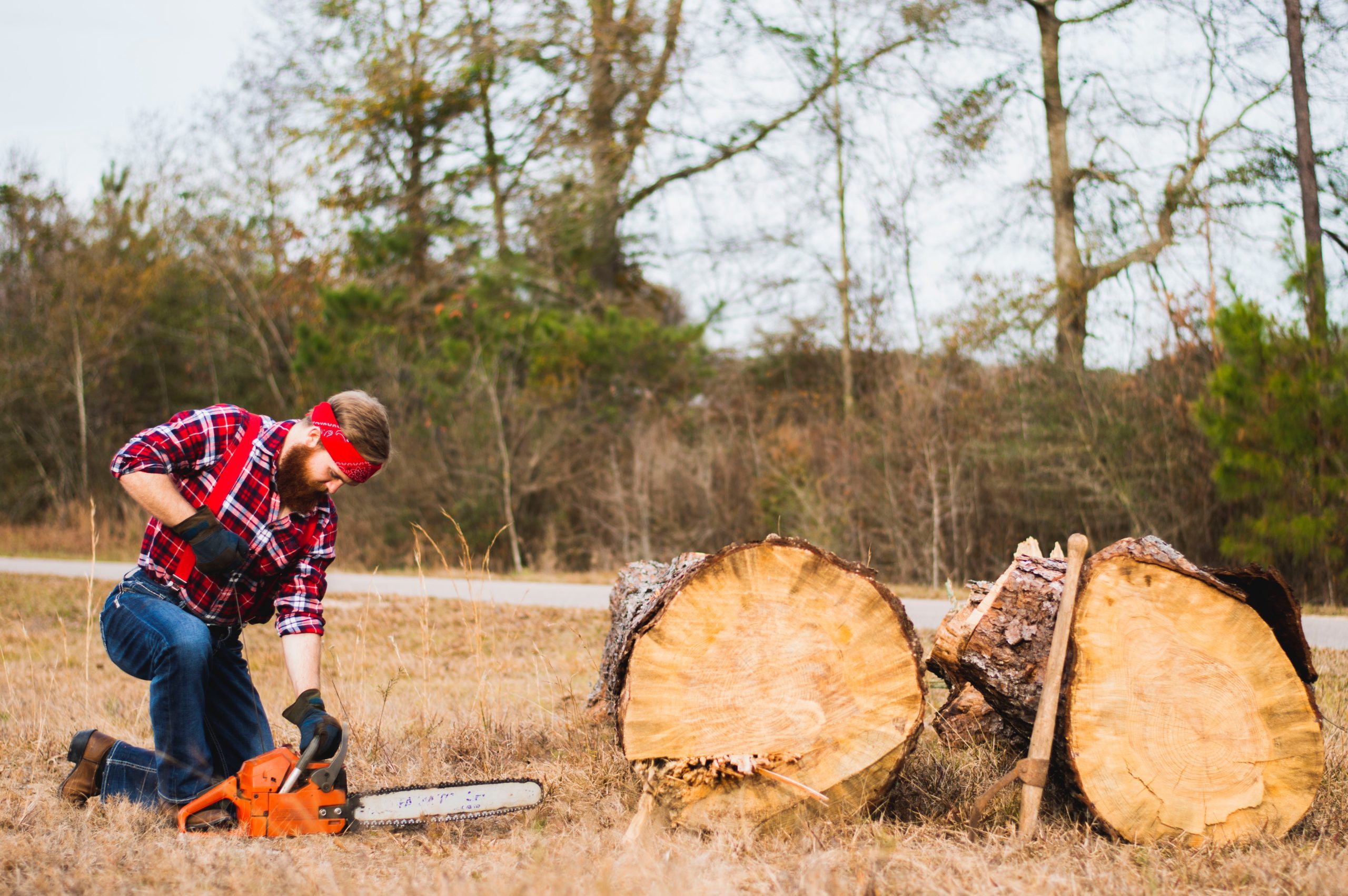 4 Reasons Why You Should Hire a Professional Tree Service