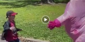 Jersey grandma puts on unicorn costume to visit grandchildren during covid-19 lockdown