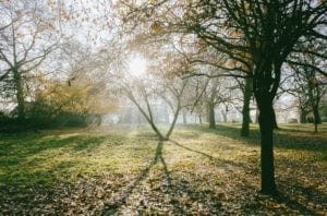 Three more ocean county parks reopening on thursday