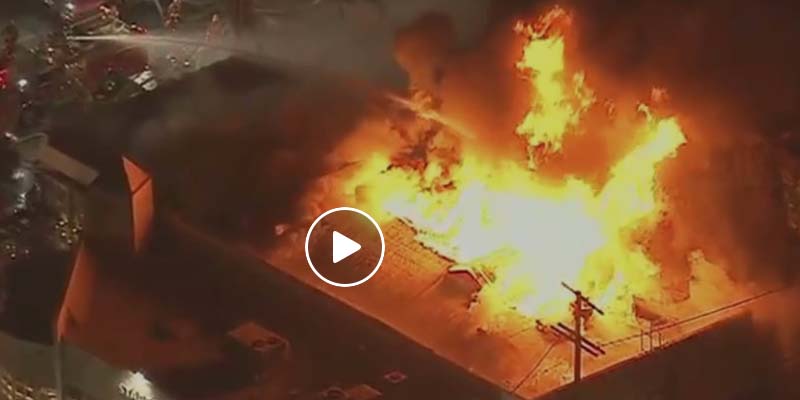 LA Police Arrest 533 for Rioting Looting, All But 18 Released from Jail The Next Morning