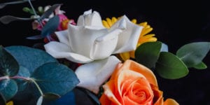 Murphy administration declares mother's day flowers as essential