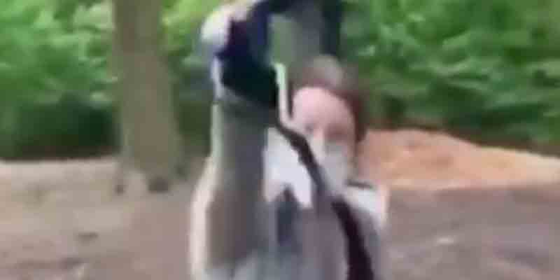 Crazy Karen Who Tormented Black Man, Dog, at Park Loses Dog, May Lose Her Job