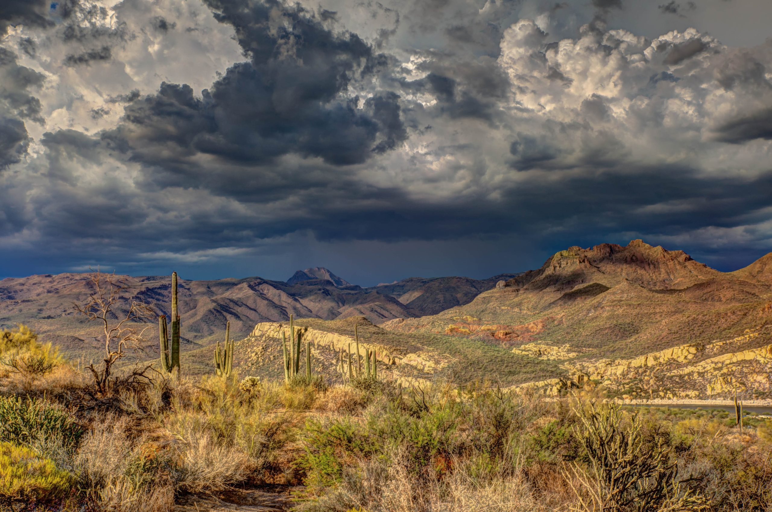 Arizona Opens Gyms, Spas, Pools, Resumes Religious Services
