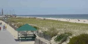 Body of likely missing swimmer washes ashore in seaside park