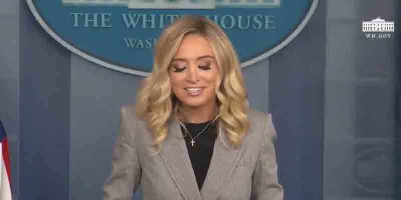 Kayleigh McEnany Doesn't Take Crap from Fake News Reporters at the White House