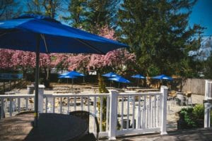 Woody's road side tavern cited by murphy administration