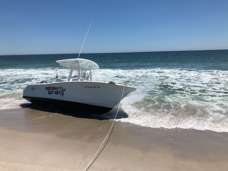 Breaching Whale Landed on Boat off Jersey Shore