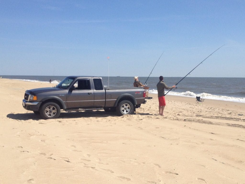 Surf fishing permit limit reached in delaware - photo licensed by shore news network.