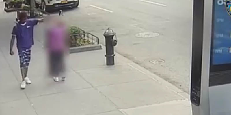 New York Police Looking for Suspect Who Sucker Punched Elderly Woman